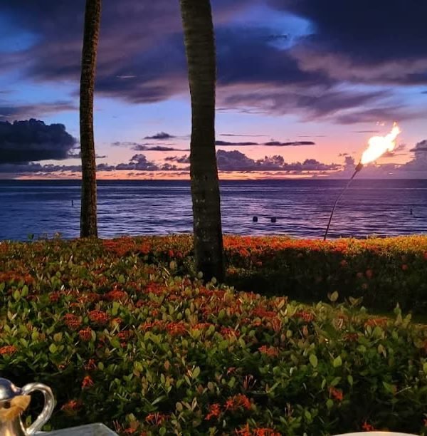 Sunset over the Caribbean Sea framed by palms from a terrace at Fairmont Royal Pavilion, Barbados