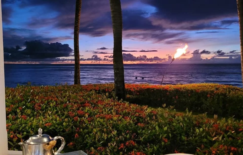 Sunset over the Caribbean Sea framed by palms from a terrace at Fairmont Royal Pavilion, Barbados