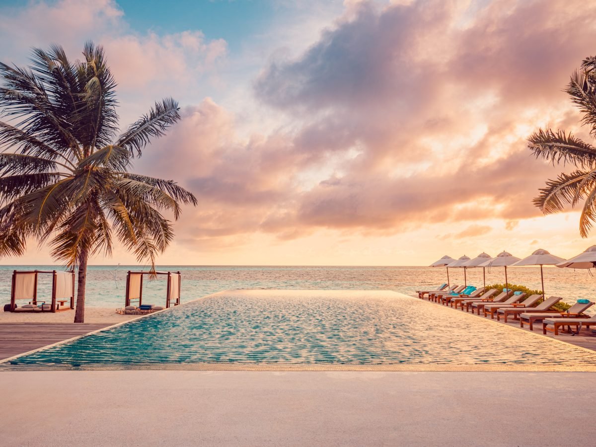 Beachfront infinity pool with palms and loungers at sunset