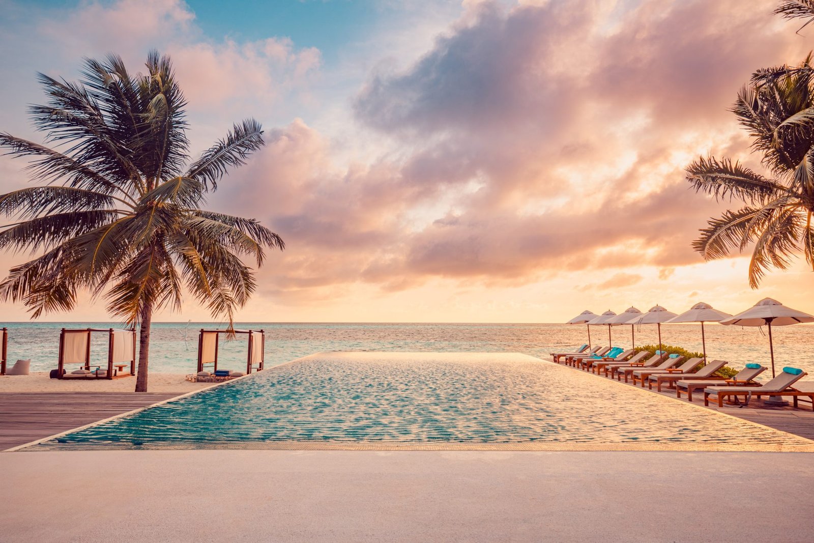 Beachfront infinity pool with palms and loungers at sunset