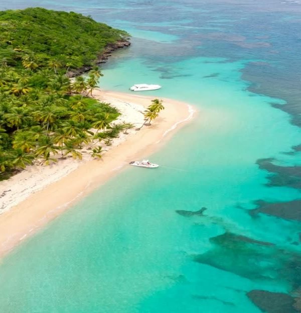 Aerial view of a palm-backed beach and turquoise reef