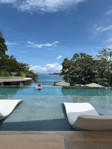 Infinity pool blending into the sea below forested hills